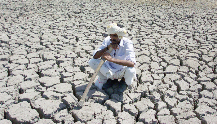 गँवार किसान