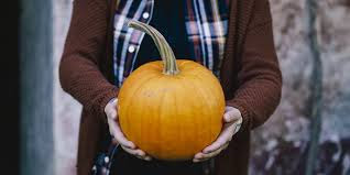 Pumpkin Pilgrimage